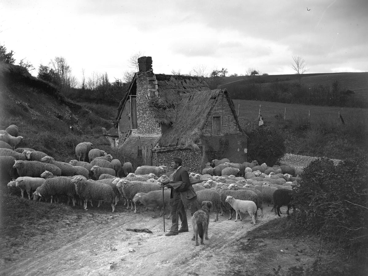 Charles Commessy, Berger d’Allonne, 1890-1930, © Archive Départementales de l’Oise